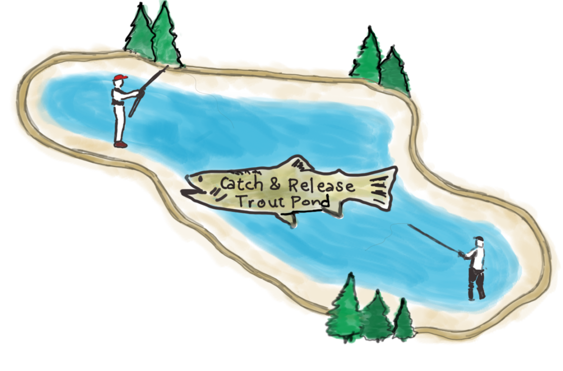 Metolius Fly Fishing Lake Creek Lodge