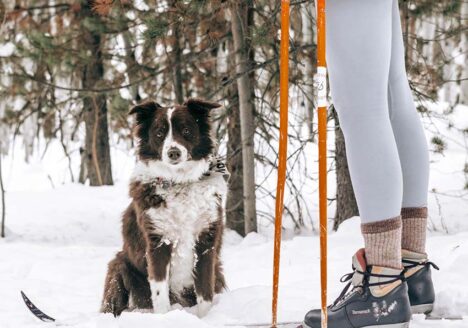 Oregon nordic skiing